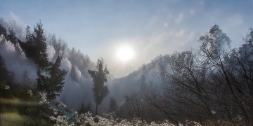合肥物业的等级究竟是什么？