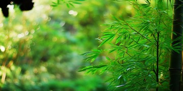 物业为什么穿旗袍？