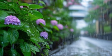 梅雨返潮，物业究竟能做什么？