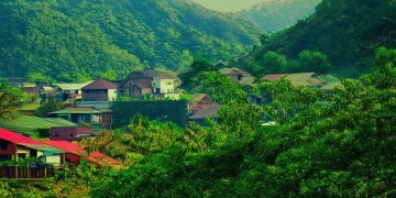 绿岛新村物业是否违法？
